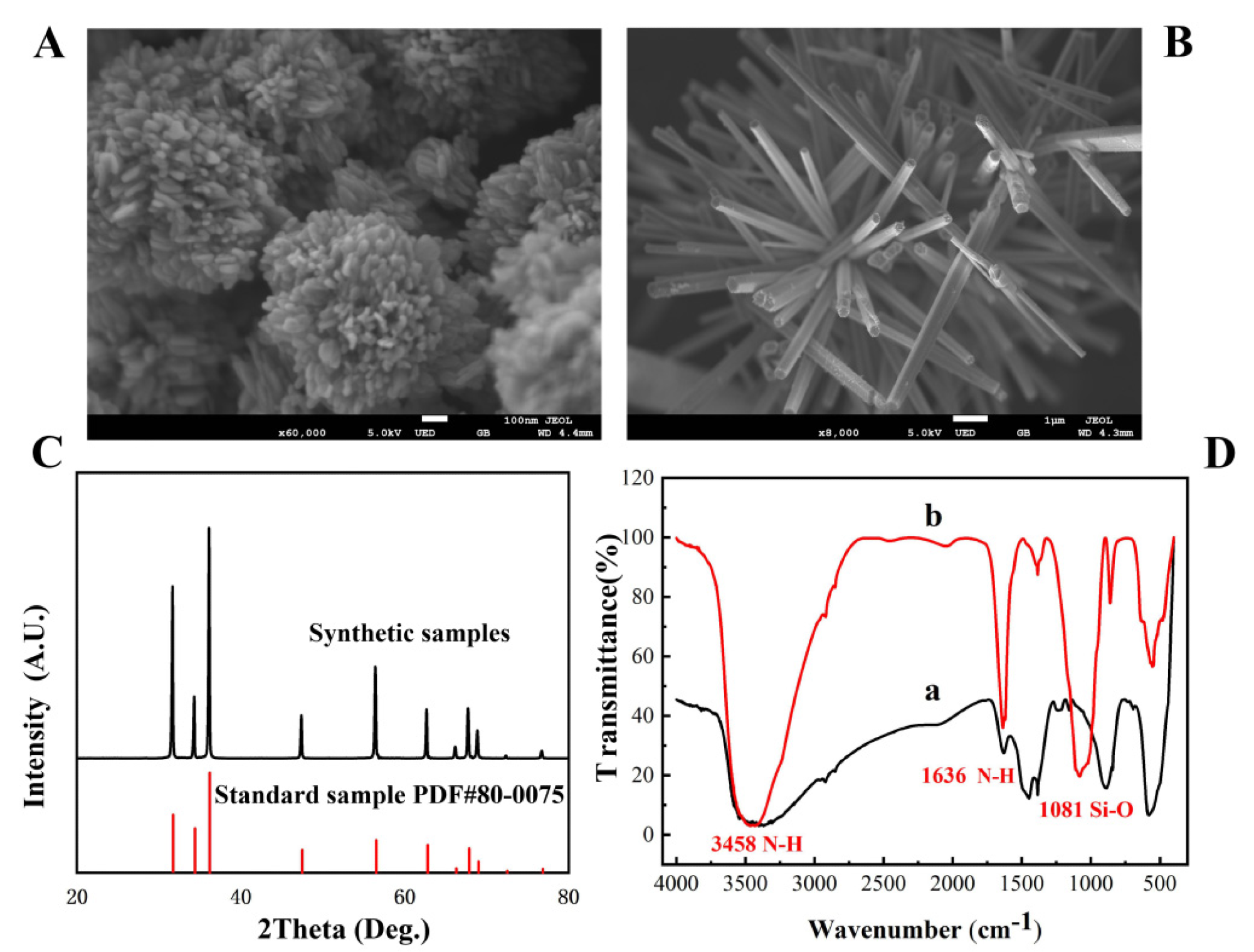 The SEM image of flower-shaped nano-ZnO (A) and brush-shaped nano-ZnO (B); XRD patterns of ZnO (C); FT-IR spectrum of amino-modified nano-ZnO (D).