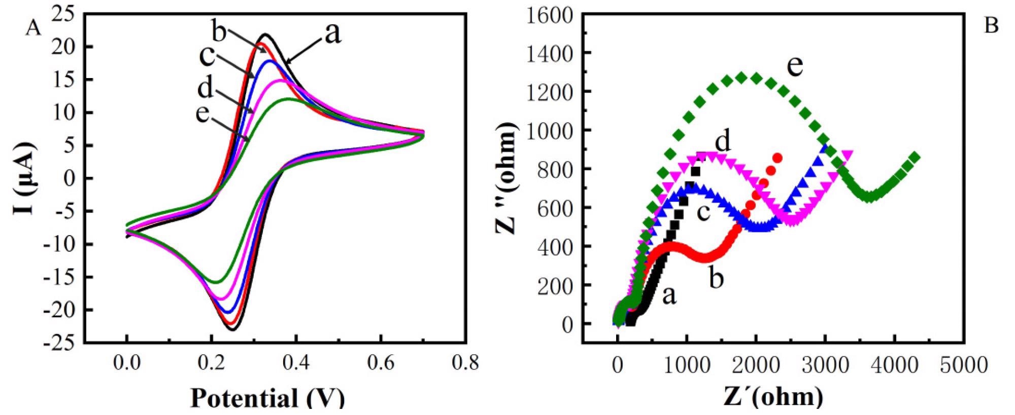 Cyclic voltametric characterization of constructing electrochemical immunosensor (A) Electrochemical impedance spectroscopy characterization of constructing electrochemical immunosensor (B) (a: bare Au; b: bare Au/ZnO; c: bare Au/ZnO/antibody; d: bare Au/ZnO/antibody/BSA; e: bare Au/ZnO/antibody/BSA/TeA).