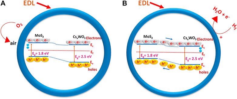 Schematic illustration of CsxWO3/MoS2-based gas sensor (A) in air, and (B) in H2 gas.