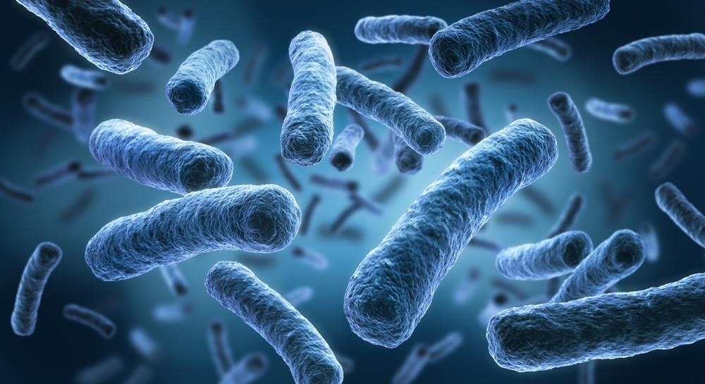 Fighting Bacteria with Vancomycin-Functionalized Gold Nanoparticles