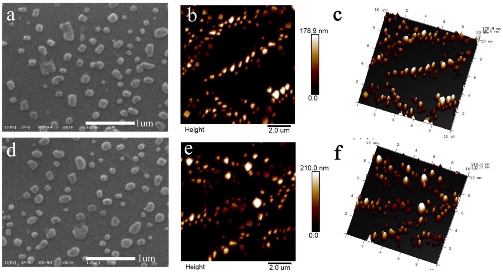 The morphology of nanoparticles including SEM-micrographs and surface, 3-Dimensional AFM images of RNNP (a–c) and TNP (d–f).