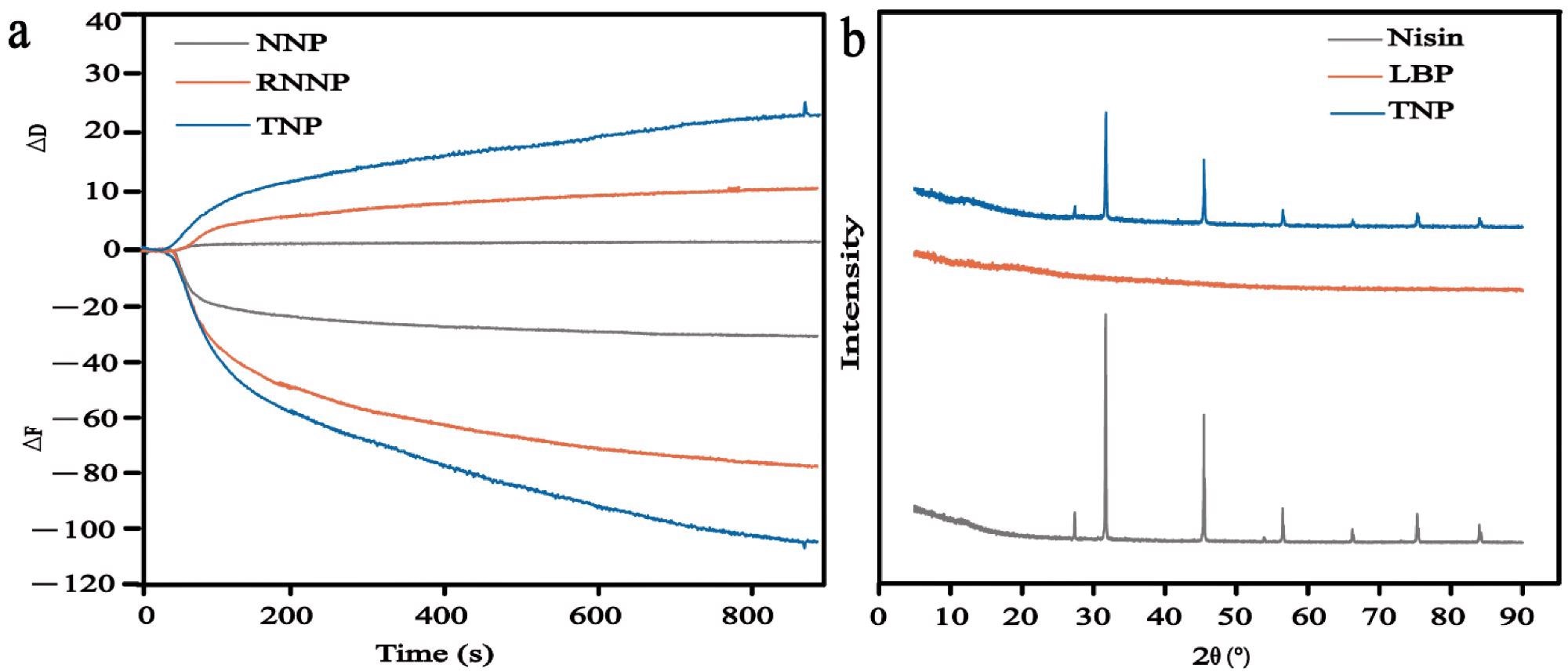 QCM of NNP, RNNP and TNP (a); XRD of Nisin, LBP and TNP(b).