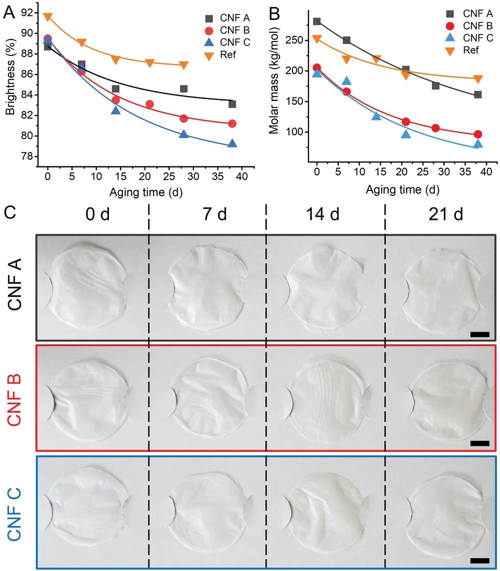 Aging characteristics of commercial cellulose nanofibers (CNF samples A–C) during long-term artificial aging (up to 38 d). Influence of aging time on A) ISO brightness and B) weight-averaged molar mass of CNFs in comparison to the Whatman filter paper reference (Ref). C) Images of aged CNF films after different aging times (0 d, 7 d, 14 d, and 21 d, scale bars show 2 cm).