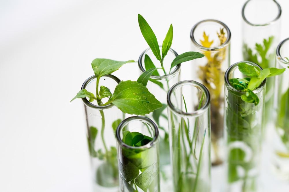 Green Nanoparticle Synthesis: Future Perspectives and Challenges