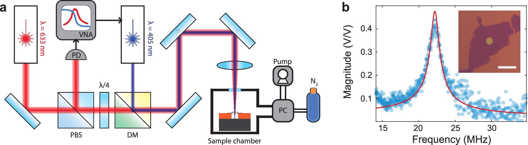 (a) Schematic illustration of the measurement setup. Vector network analyzer (VNA) sends an amplitude modulated signal to the blue laser diode which optothermally actuates the membrane while the red He–Ne laser reads out its motion. The reflected red laser light is detected at the photodetector (PD) and the signal is collected by the VNA. The pressure inside the sample chamber is controlled by the pressure controller (PC) which is connected to a scroll pump and a pressurized N2 gas bottle. PBS, polarized beam splitter; DM, dichroic mirror. (b) An example of a resonance peak of a SRO (16 u.c.) device with a harmonic oscillator fit in red. Inset: optical image of the device. A SRO flake is stamped on top of a circular cavity in SiO2/Si. Scale bar is 10 µm.