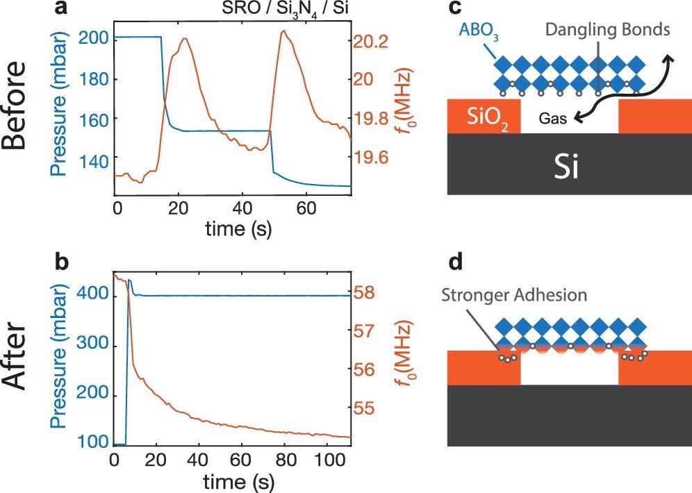 Pressure response (left y-axis, blue) of mechanical resonance (right y-axis, orange) in a SRO device fabricated on 350 nm Si3N4/Si (a) before annealing and (b) after annealing. Possible mechanism of the bonding is illustrated in panels c and d. (c) Before annealing, there are dangling bonds at the bottom of the flakes. The vdW gap between the SRO and the SiO2 allows for gases to pass through. (d) After annealing, vacancies bond with the oxygen in the substrate leading to a stronger bond to form at the interface.