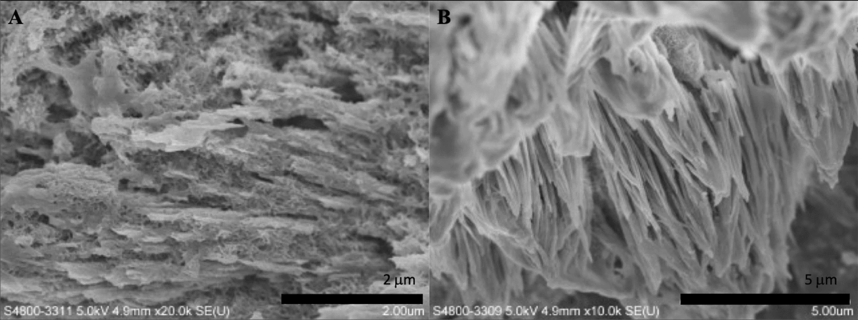 SEM micrographs of the synthesized biomaterial treated with a current of 10 mA, after 10 h mineralization. (A 20.0 k?×?magnification; B 10.0 k?×?magnification).