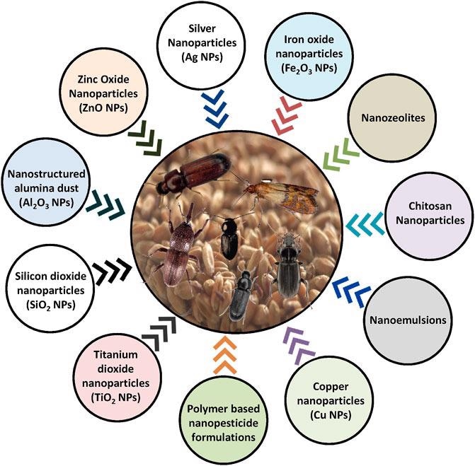 Types of potential nanomaterials and nanoformulations suggested for insect pest management under storage.