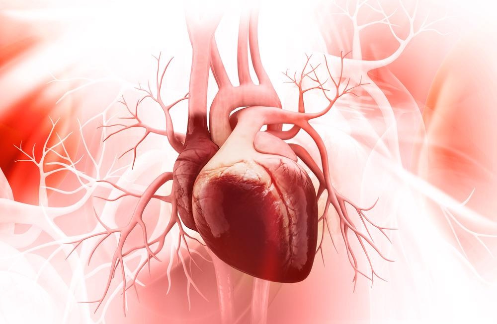 Carbon Nanotubes Modified with Heparin for Use in Heart Valves