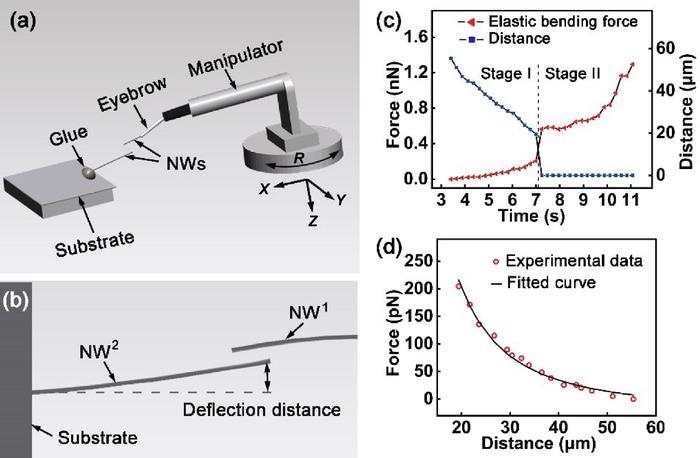 Researchers Reveal Why the Components of Nanowires Cling to Each Other.