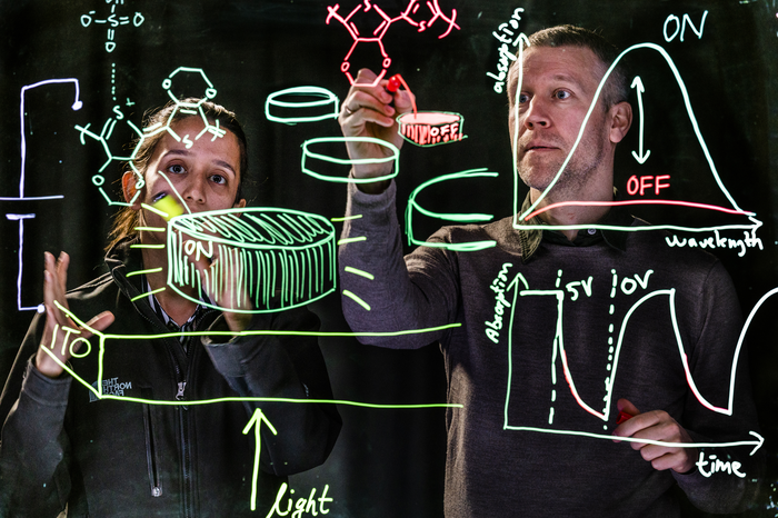 Researchers Develop Dynamically Tuneable Plasmonic Nanoantennas from Conducting Polymer.