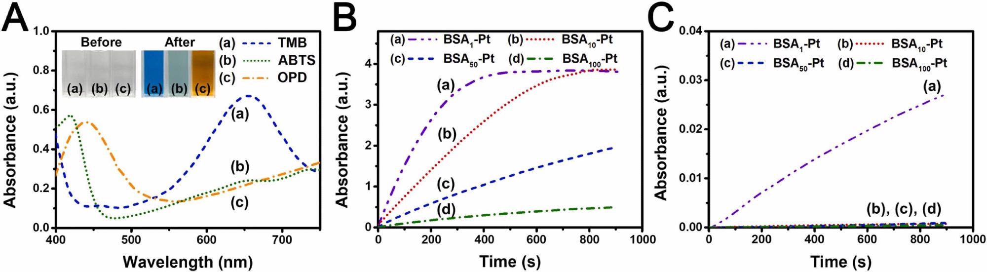 (A) UV–vis absorption spectra obtained after the PtNZ-promoted oxidation of (a) TMB, (b) ABTS, and (c) OPD with H2O2. Inset: corresponding images before and after nanozyme addition. Time-dependent absorbance of TMB (ox) at 655?nm obtained in the presence of four PtNZs (0.5?mg?mL-1) (B) with and (C) without H2O2. Reaction conditions: 0.1?mg?mL-1 TMB, 0.1?mg?mL-1 ABTS, or 0.4?mg?mL-1 OPD; 10?mM?H2O2 in PC buffer (50?mM, pH 5.0) at room temperature (25?°C).