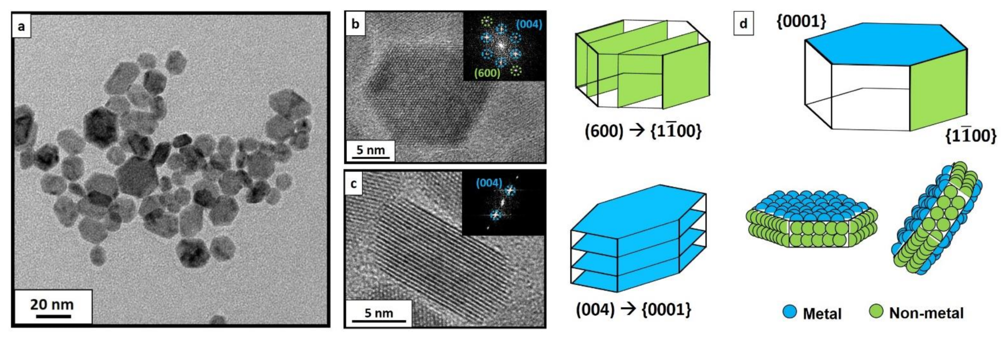 TEM image of CeF3 NCs synthesized via hydrothermal method at 210 °C (a). Well faceted-NCs could be observed tilted in several directions, randomly oriented. HRTEM images of as-synthesized CeF3 NCs via hydrothermal treatment at 210 °C with their corresponding faceting in {11¯00} (b) and in {0001} (c) planes. Deduced experimental faceting, as well as the exposed elements in each facet (d).