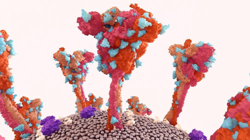 The Role of Glyco-Nanoparticles in Nanomedicine