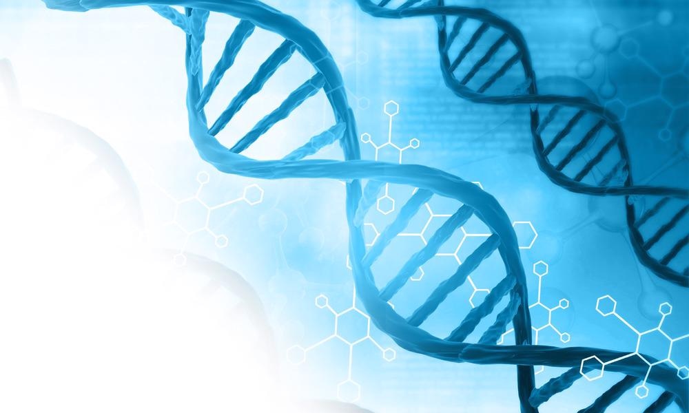 Computing at the Nanoscale with DNA