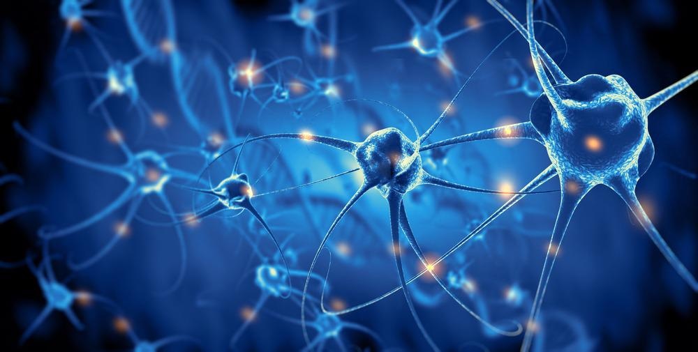 MXene Conduit Supports Cell Growth for Nerve Repair Applications