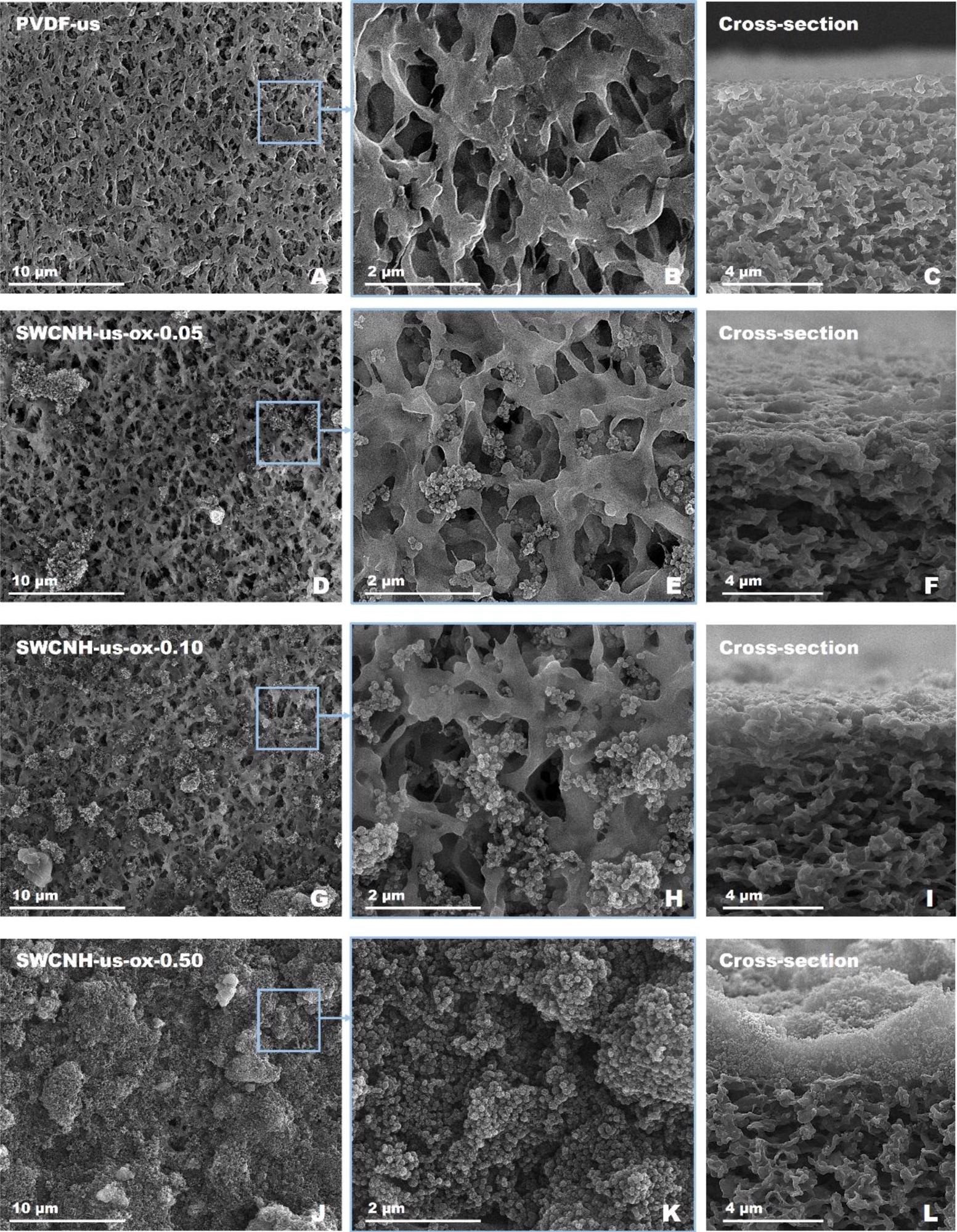 HR-SEM images surface and cross-sections of the generated hybrid materials. Pristine membrane (A - C); and materials with SWCNH oxidized and ultrasonicated with level of coverage of 0.05 (D - F), 0.10 (G - I), and 0.50 (J - L) cm m-2.