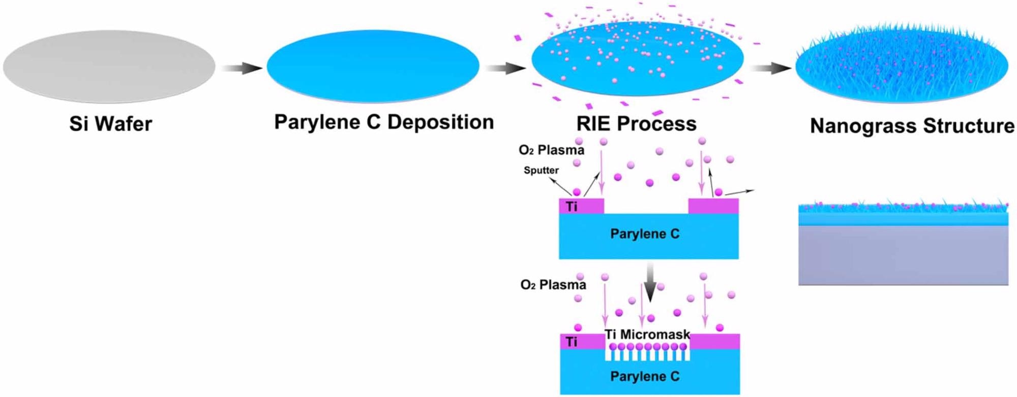 Fabrication process of the nanograss structure.