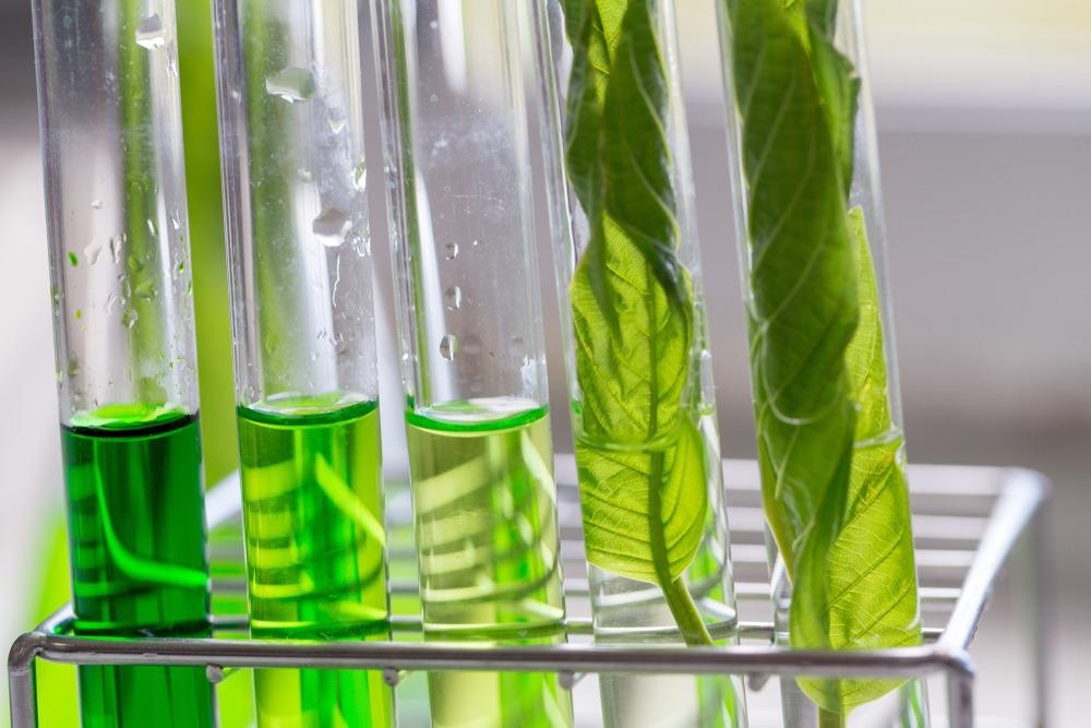 Helping Agriculture to Reach its Circular Bioeconomy Goals