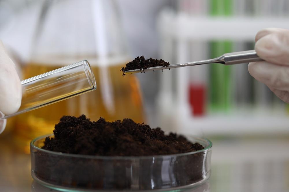 Recovering Polluted Soil with Nanoremediation