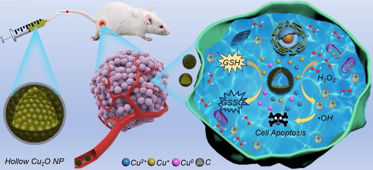 Study Designs HCONC Dual-Shell Structures as Nanozymes for CDT Oncotherapy.