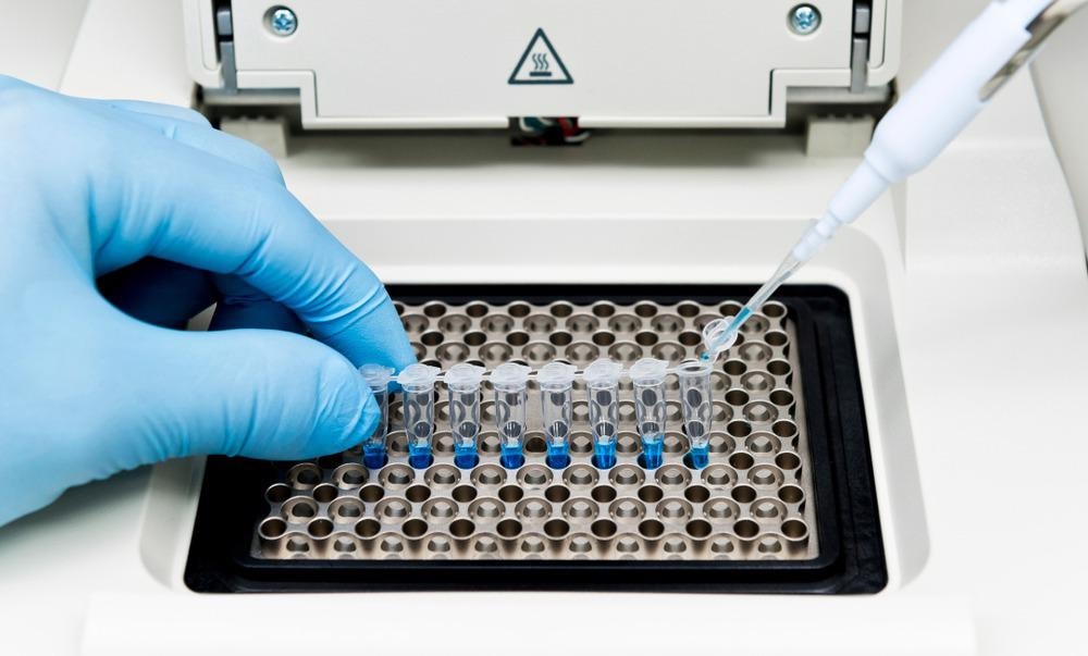 Modified Porphyrin Assemblies Show Potential as DNA Nanocarriers