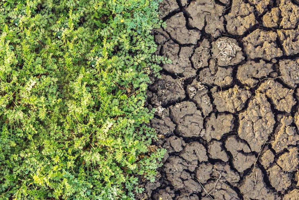 Nanofertilizer Helps to Rejuvenate Dead Soil