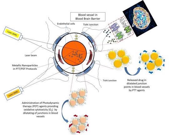 Experts Employ Nanomaterial-Based Phototherapy Modalities for Cancer Treatment.