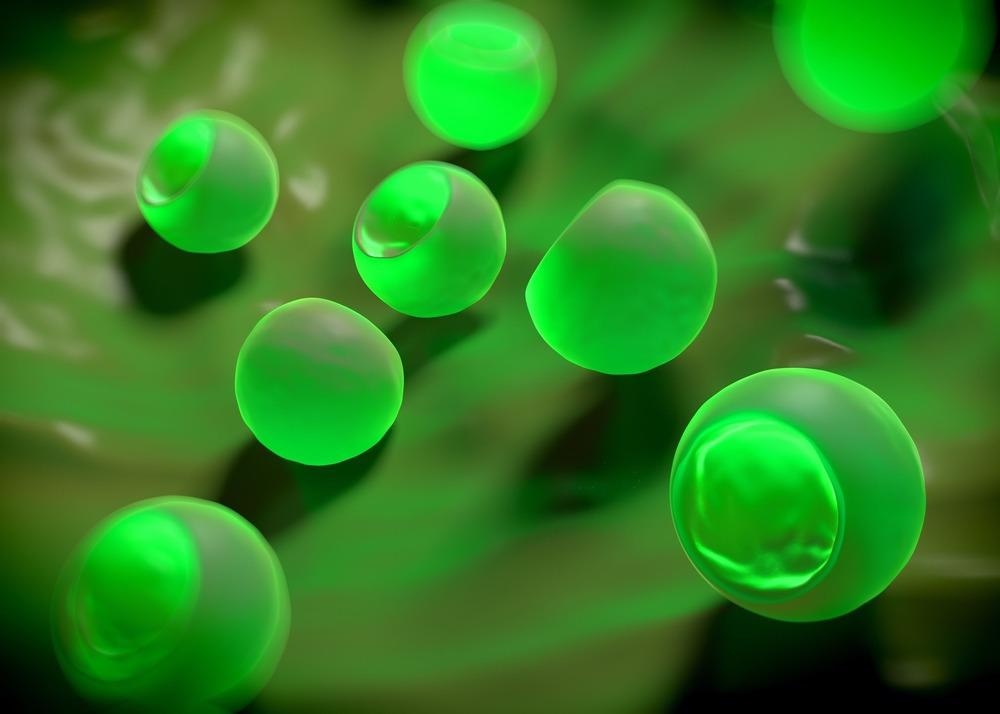 Electrospinning Reveals Promising Microbial Fuel Cell Cathode