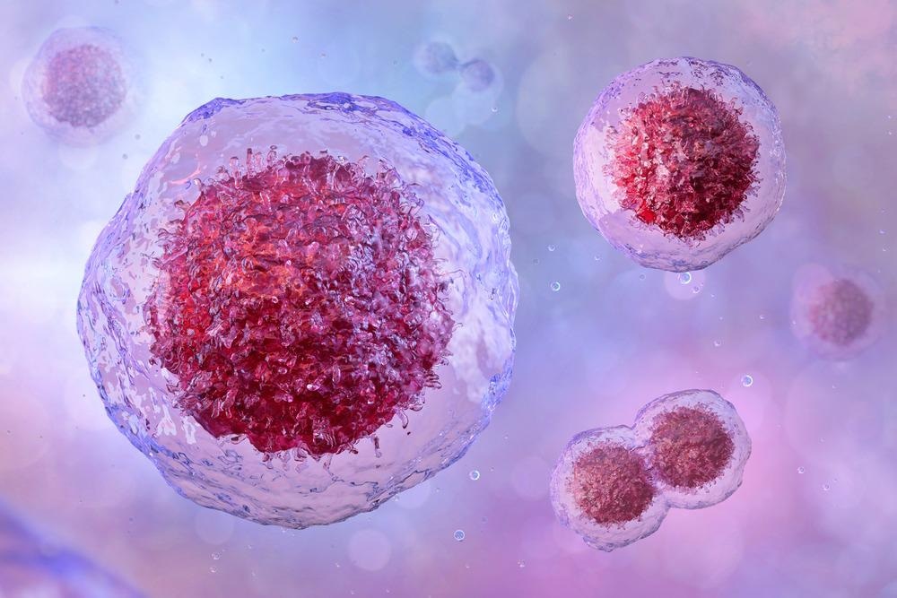 Nanoarray Maps Cell Behavior Cues Behind Cell Reprogramming