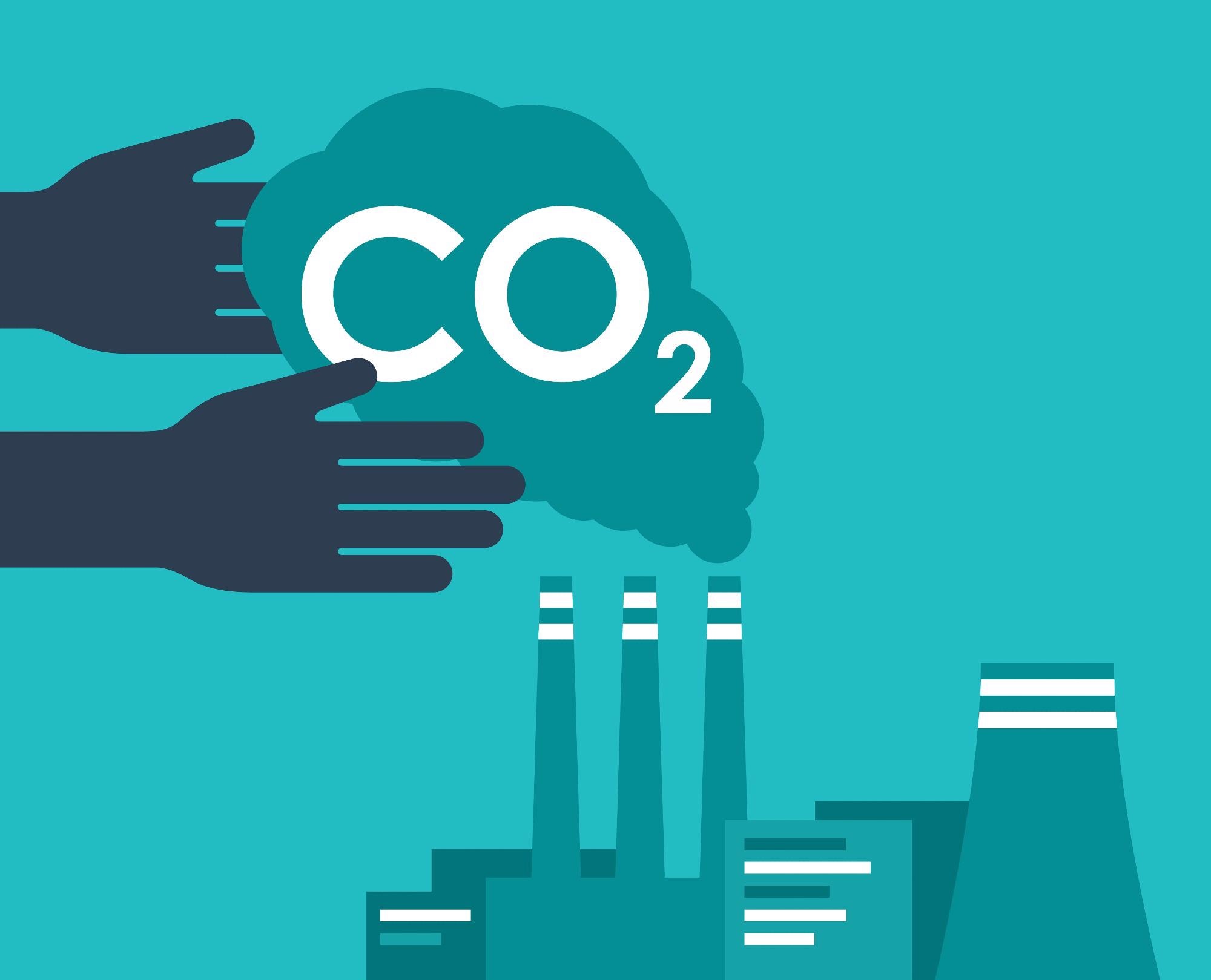 Linked Polymer Network Enhances CO2 Capture