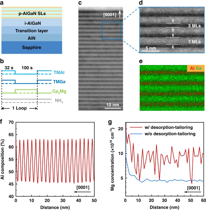 Preparation of Al-rich p-AlGaN SLs by adopting the desorption-tailoring strategy. a Schematic illustration of the sample with desorption-tailored p-AlGaN SLs. b Schematic process of desorption-tailoring for p-AlGaN SLs. c HRTEM image of the p-AlGaN SLs. d Z-contrast image of the p-AlGaN SLs. e Distribution of Al and Ga atoms by EDS mapping corresponding to the region in panel d. f EDS line scanning curve of Al composition in the p-AlGaN SLs. g Mg concentration profile by SIMS in the desorption-tailored p-AlGaN SLs as well as in an uninterrupted-grown Al0.63Ga0.37N epilayer (without desorption-tailoring).