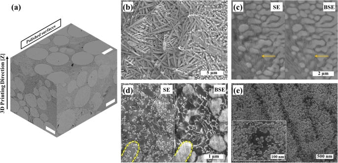 SEM micrographs of (a) polished surfaces of SLM-Mo(x)S(x+1) (scale bar?=?25 µm), (b) unpolished top-surface including laser-assisted exfoliated 1T-MoS2 nanosheets and Mo2S3 nanoparticles, (c) high magnification secondary and backscattered electron micrographs acquired from the polished cross-section in which the arrows indicate thin transparent 1T-MoS2 layers alongside coalesced Mo2S3 nanoparticles, (d) HR-SEM micrograph of the polished surface of SLM-Mo(x)S(x+1) in which the yellow dashed lines indicate coalescence zones of Mo2S3 nanoparticles, and (e) high magnification HR-SEM micrograph of a cross-section showing Mo2S3 nanoparticles within the structure of the nanocomposite.