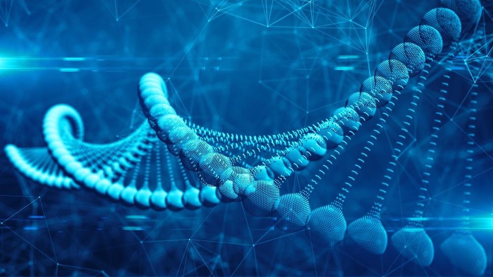 Towards Targeted Cancer Therapy with Smart DNA Nanotechnology