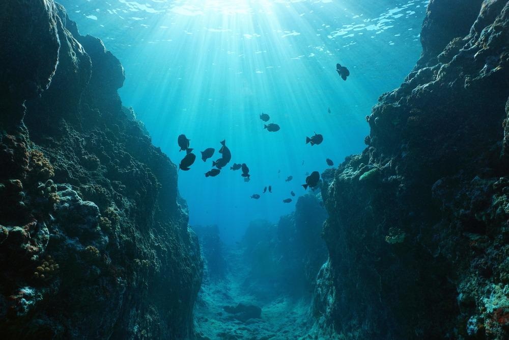 New Imaging Technology Helps to Take Advanced Underwater Visuals