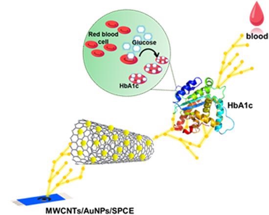 A schematic representation of the sensor fabrication and principle behind HbA1c detection.