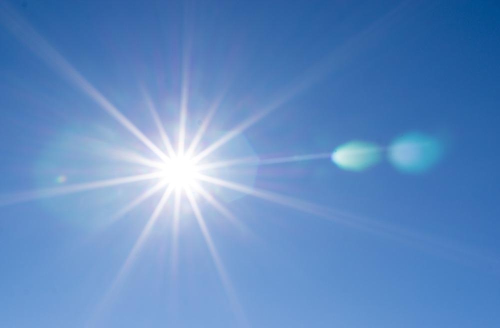 Mushroom Inspired Foam Produces Good Solar Steam Generation