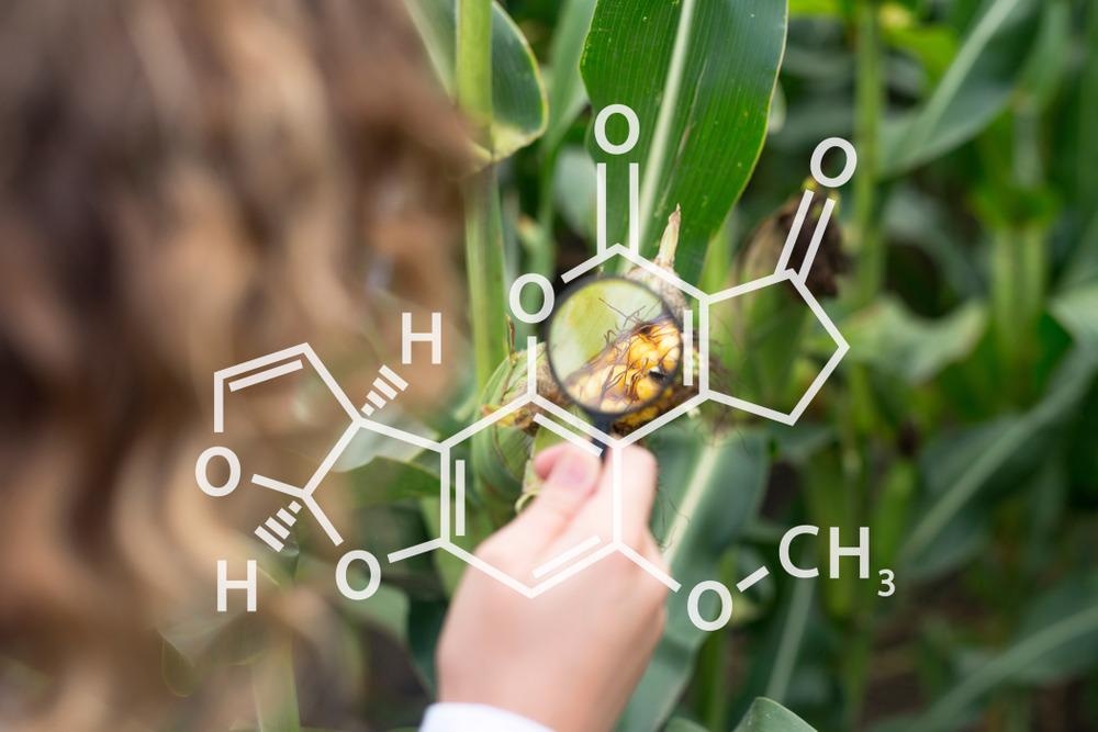 Food Safety Biosensor Effectively Detects Toxic Compound Aflatoxin B1