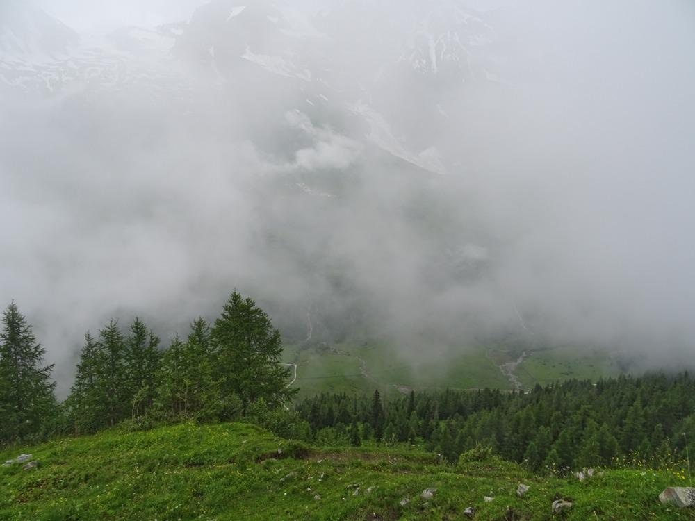 Eco-Friendly Fog Harvesting Could Help Address Water Shortages
