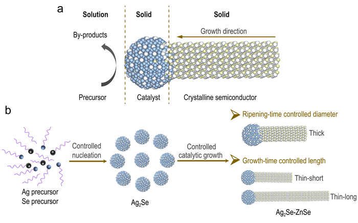 Two-Step Catalyzed Growth Strategy Enables High-Precision Control Over ZnSe Quantum Wires.