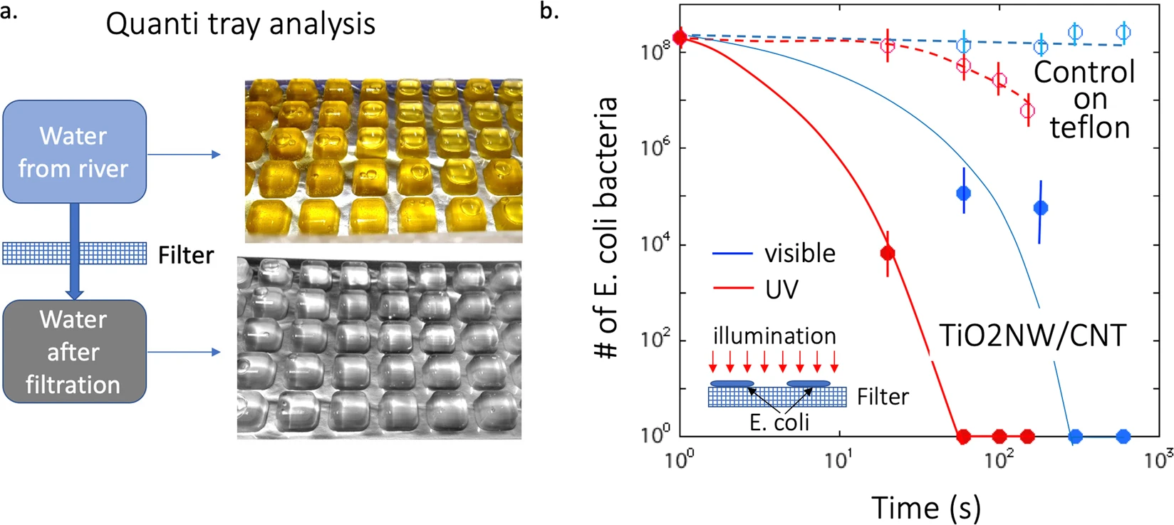 Quanti-tray analysis of the efficiency of the filtration of the device and the E. coli bacteria survival. a The presence of coliform bacteria in the 100 times diluted river water is indicated by the yellow color of the Quanti-tray (upper part of the image), whereas the colorless Quanti-tray confirms that no bacteria passed through the TiO2NWs/CNTs filter (lower part of the image); (b) The bacterial inactivation performance of the TiO2NWs/CNTs filter upon UVA and visible light illumination as compared to the control surface of the humid Teflon filter. After 30 sec of illumination with UVA light and after more than 300 sec when exposed to visible light, the concentrations of bacteria are below the detection limit. Inset: schematic representation of the experiment showing the location of the bacteria-containing spots on the filter’s surface.
