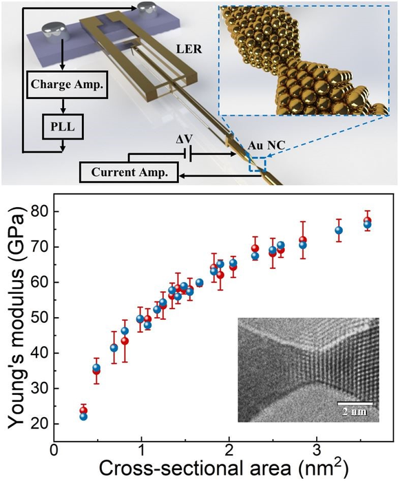 Researchers Analyze the Elastic Properties of Gold Nanocontacts.