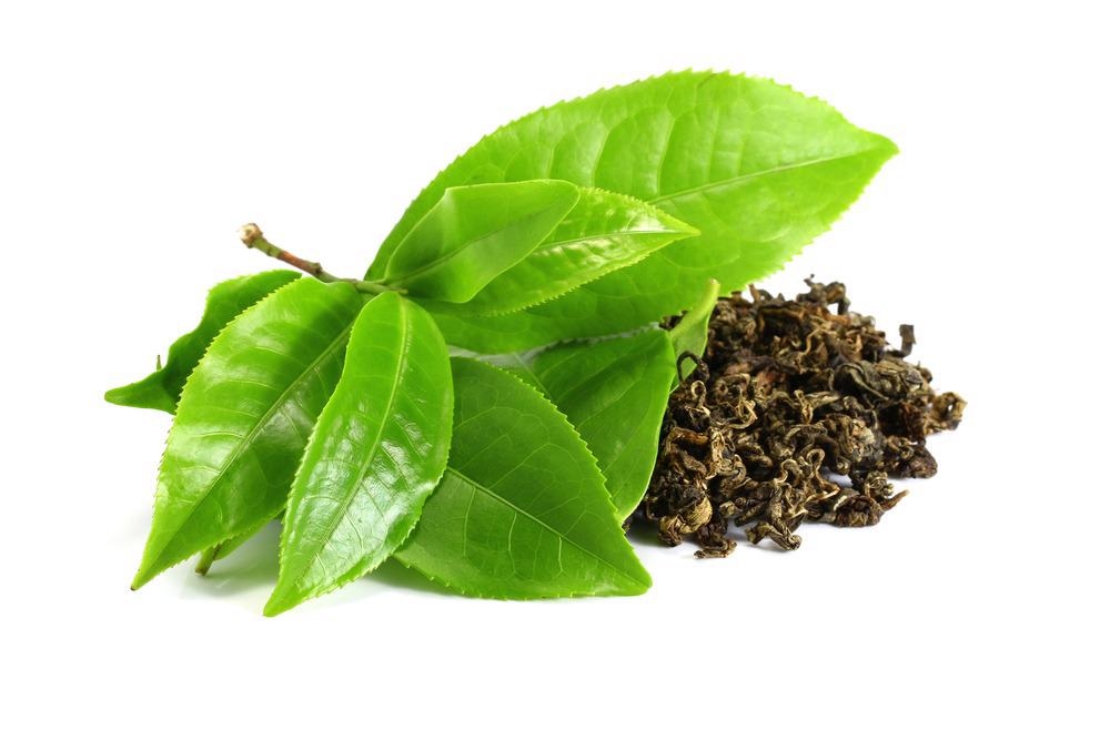 Biosynthesis of Antibacterial Nanoparticles with Green Tea Extract
