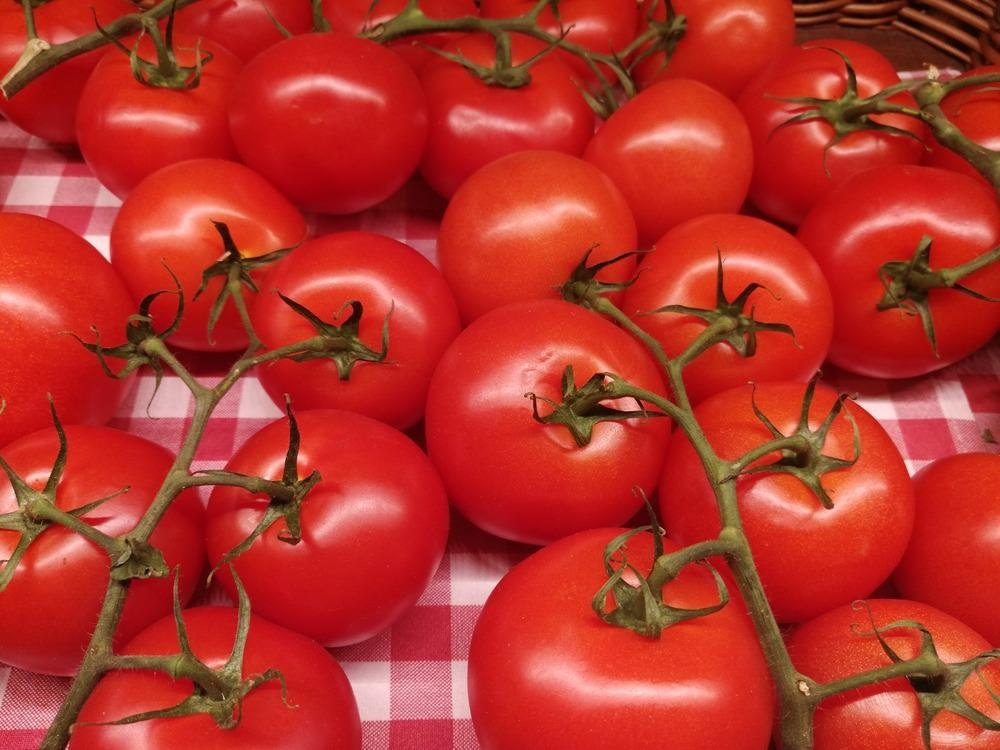 Nanomaterial Increases Bioavailability of Important Dietary Component