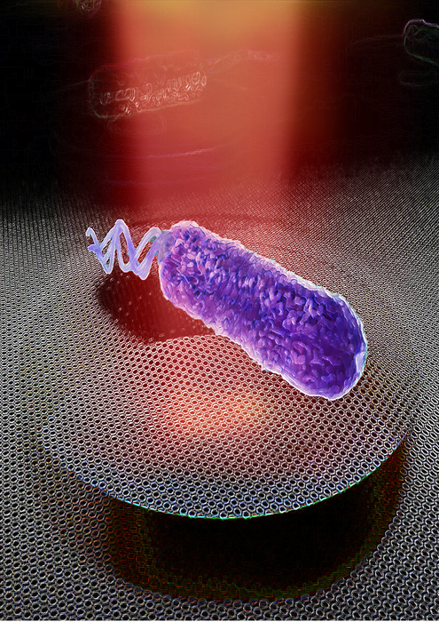 Novel Technique Measures Novel Technique Measures Nanomotion of Bacterium in its Aqueous Growth Environment.