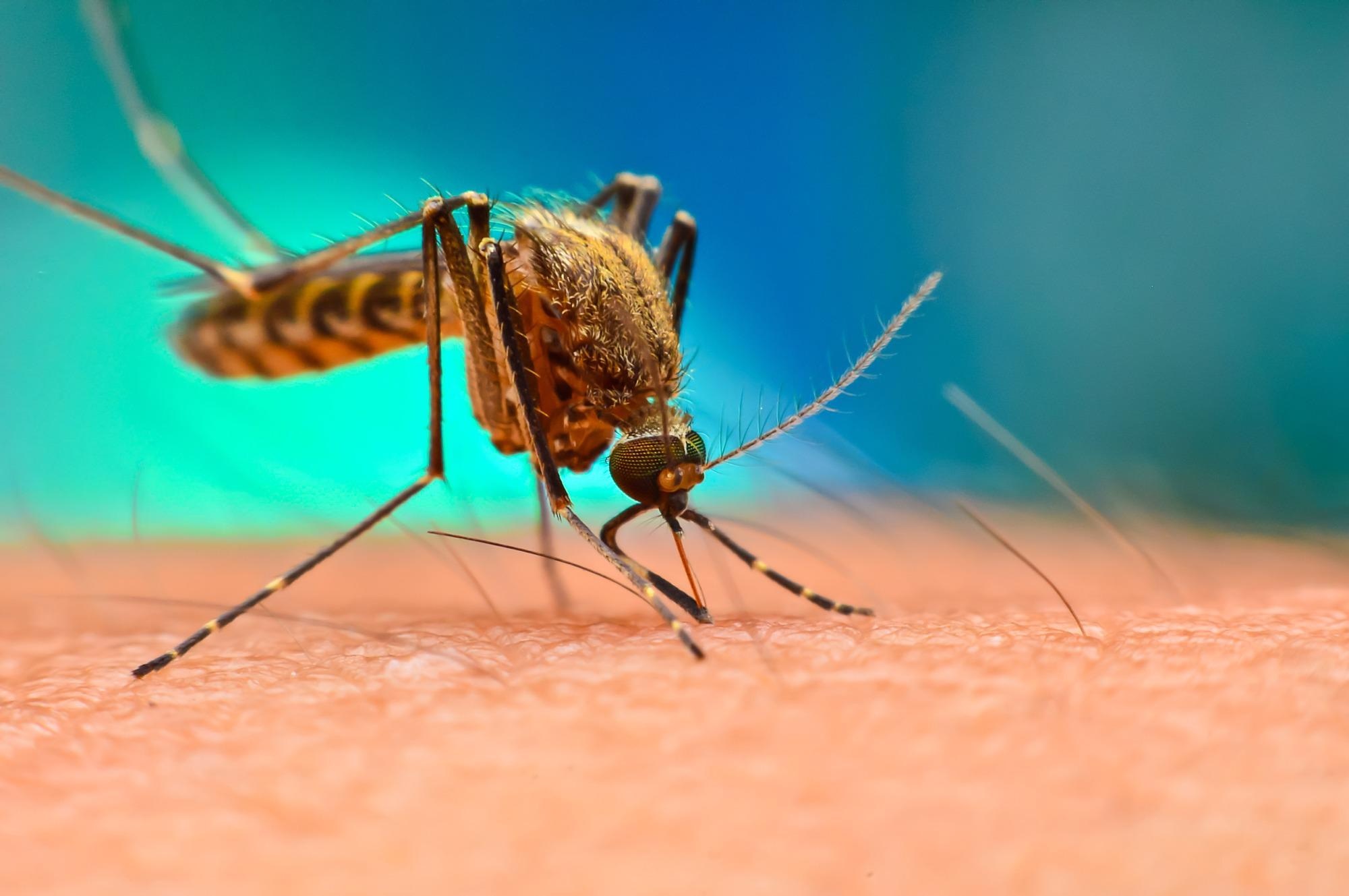 Study Uses Carbon Black as an Alternative to Insecticides.