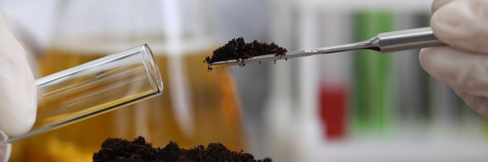 Carbon Foam Solutions for Polluted Soil Remediation