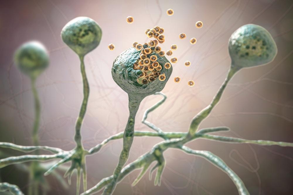 Engineered Nanocomposite Detects Common Food Fungus