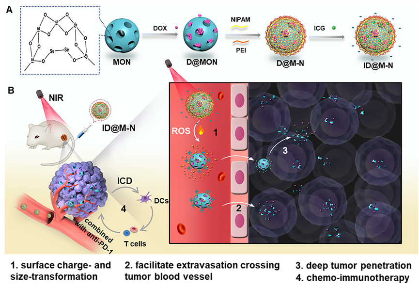 Near-Infrared-Powered Nano-Assemblies Allows Combining of Therapeutic Methods for Breast Cancer Therapy.