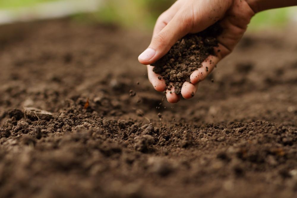 Positive Results Obtained from TiO2 Nanoparticle Treated Soil